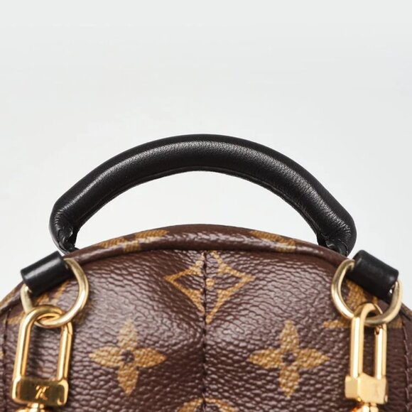 Louis Vuitton Monogram Canvas Palm Springs Mini Backpack Bag - Picture 8 of 11